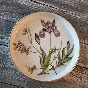 Elegant Quiche Plate. Spode oven to tableware - Iris and sphaerolobium flowers